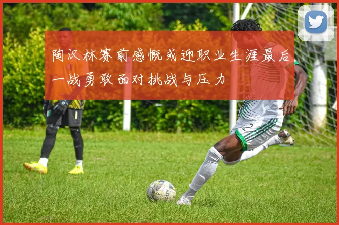 陶汉林赛前感慨或迎职业生涯最后一战勇敢面对挑战与压力
